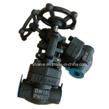 Forged Carbon Steel A105 Thread End NPT Globe Valve